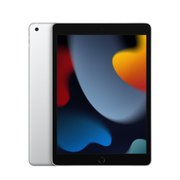 Apple iPad 10,2 (2021) 256GB WiFi zilver