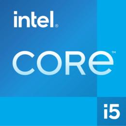 Intel Deca Core i5-13500 (2,50GHz) 24MB (UHD 770)  Soc1700