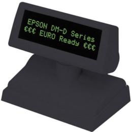 Epson Display DM-D110-712 zwart