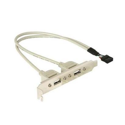 2x USB 2.0 bracket