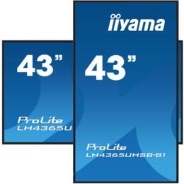 43" iiyama LH4365UHSB-B1 4K UHD Digital signage display