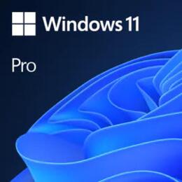 Microsoft Windows 11 Pro UK & NL 64bit oem (Key only)