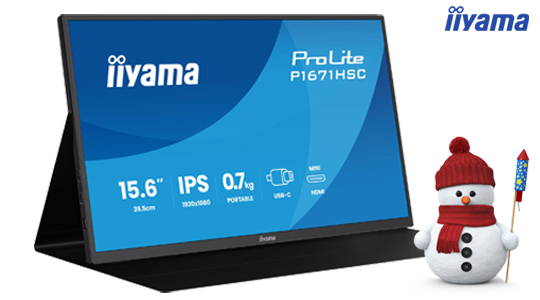 iiyama portable monitor